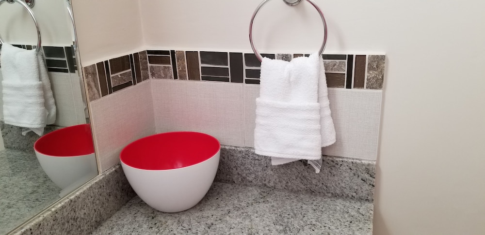 New Kingston Guest Apartment At Eight 26/26