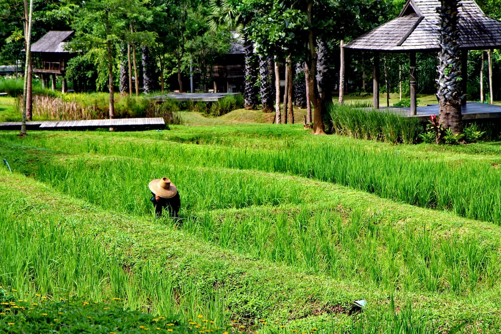 Veranda High Residence By Veranda Chiangmai The High Resort 54/67