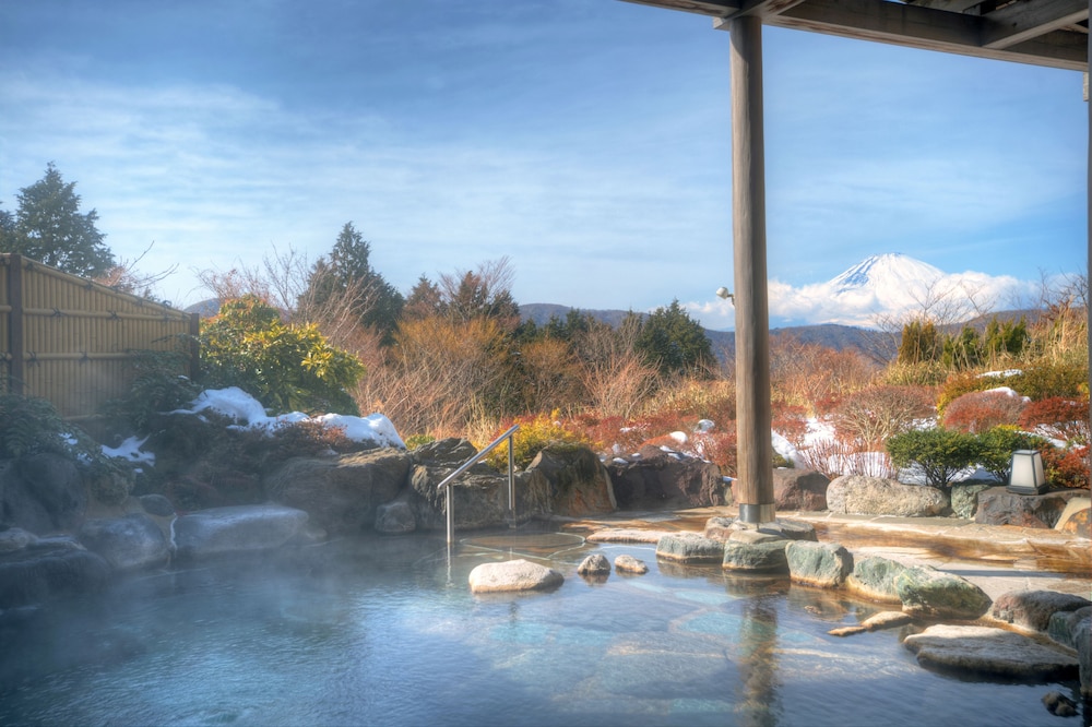 Hotel Green Plaza Hakone 28/50