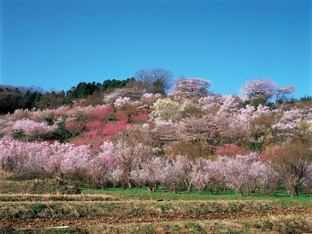 APA Hotel Fukushima Ekimae 55/56