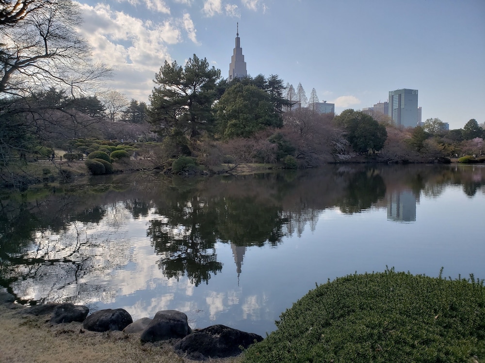 surroundings