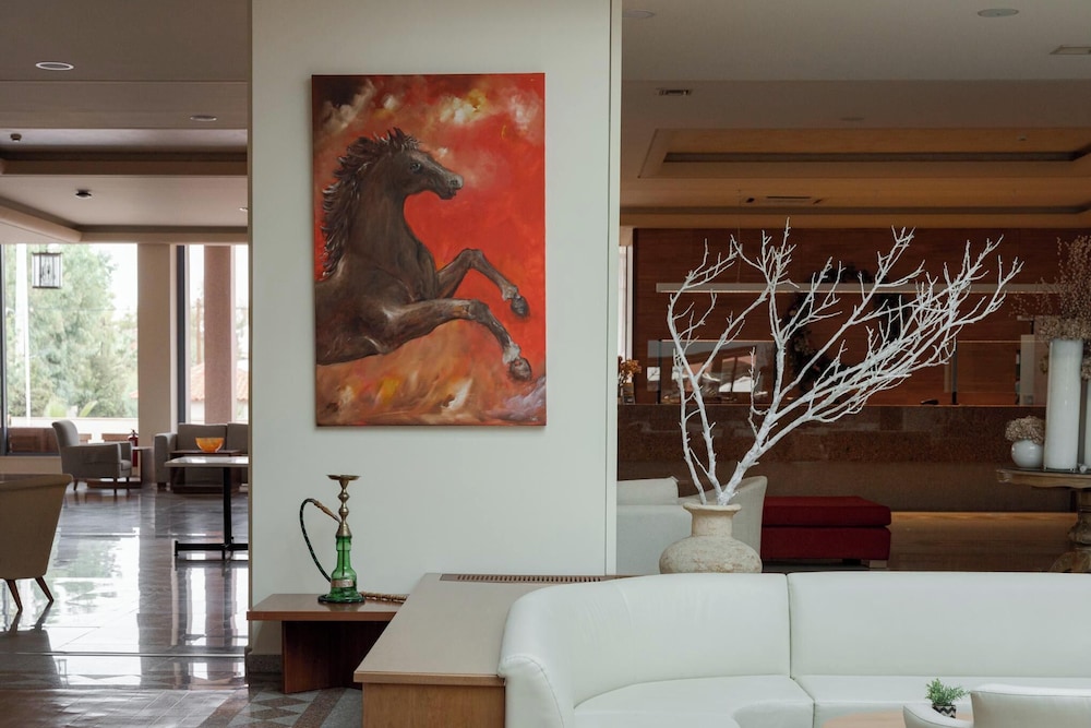 Alkyon Hotel Resort and Spa 6/77