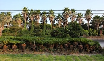 Soranghozen Pension 18/27