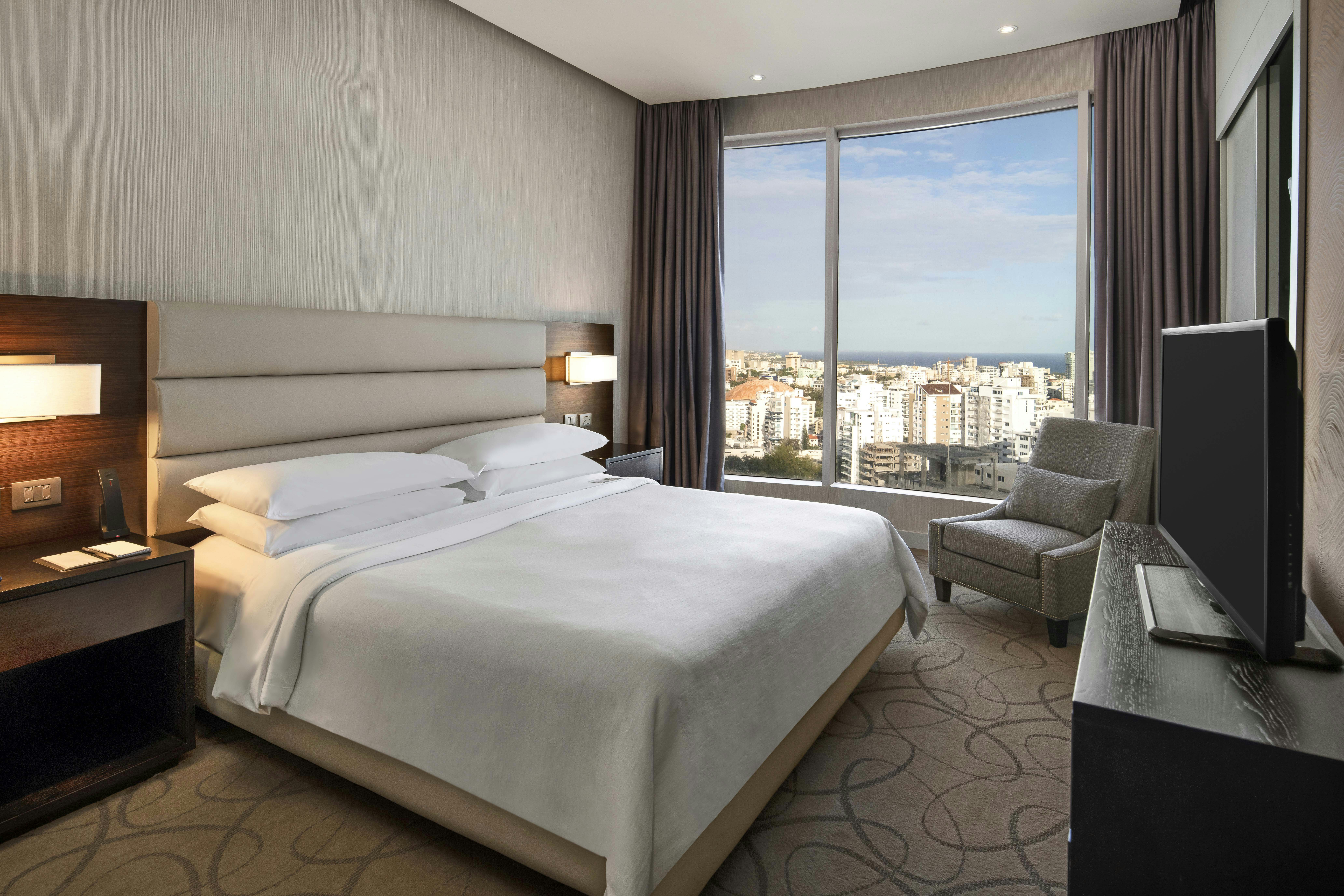 Embassy Suites By Hilton Santo Domingo 9/50