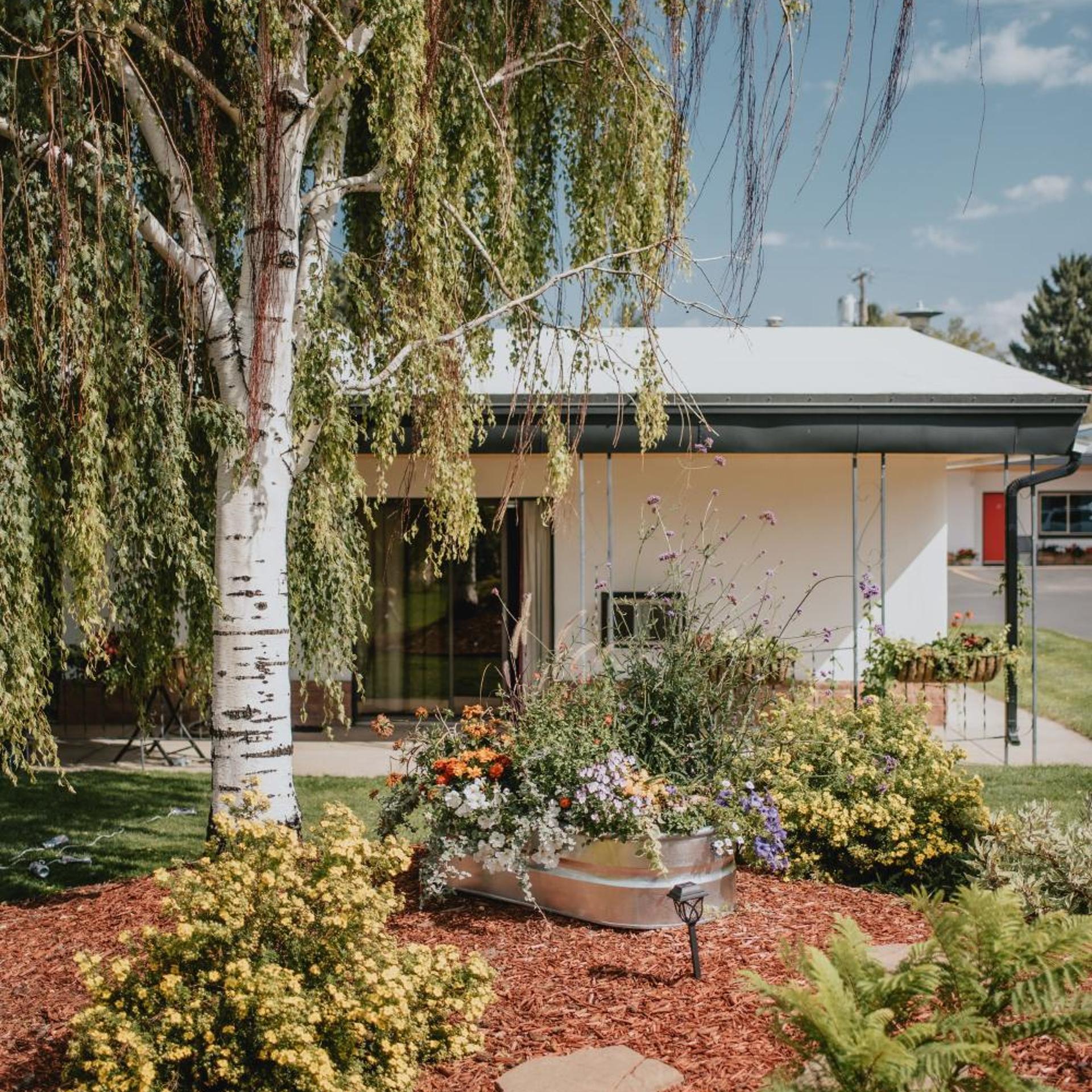 The Sapphire Motel 43/50