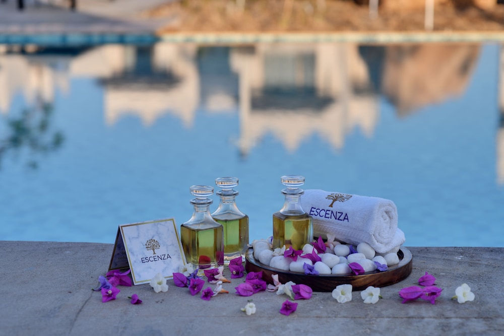 The Fern Sattva Resort, Little Rann of Kutch 61/65
