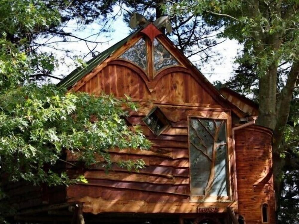 Sycamore Avenue Treehouses 7/50