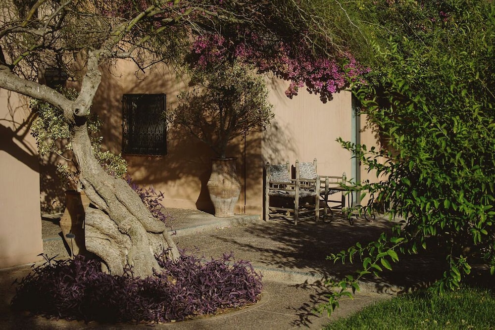 Dar Maktoub 59/66