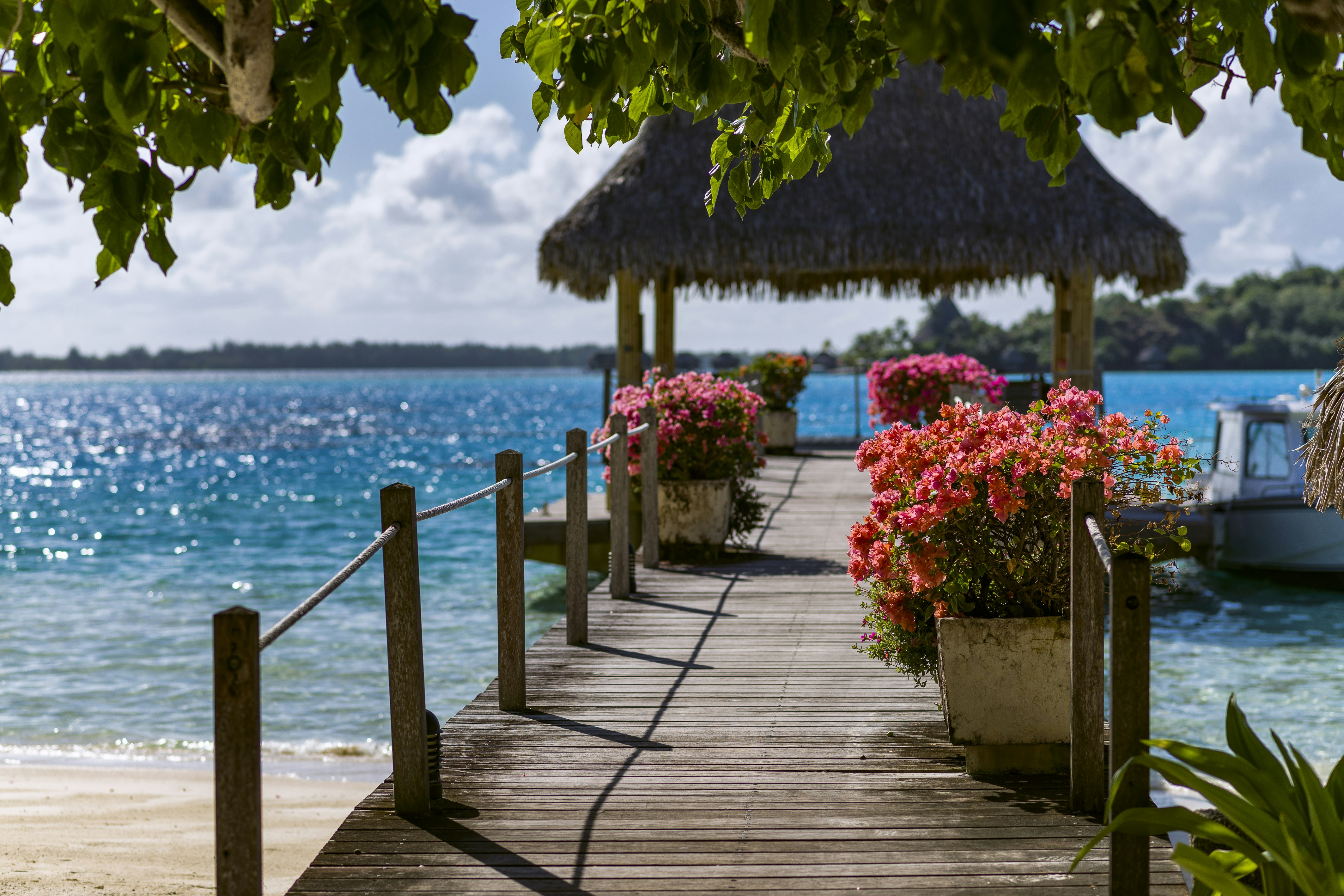 Intercontinental Bora Bora Le Moana Resort 79/81