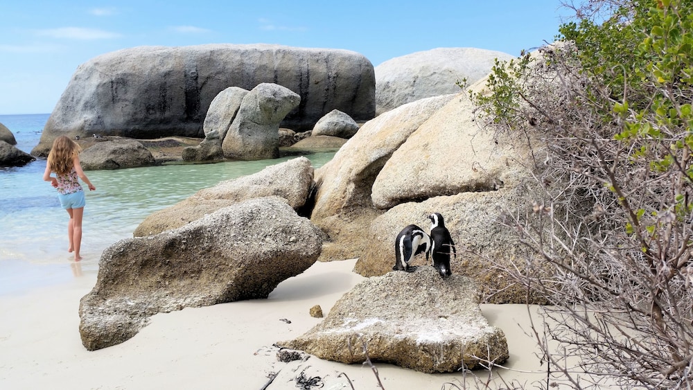 Hout Bay Beach Cottage 38/49