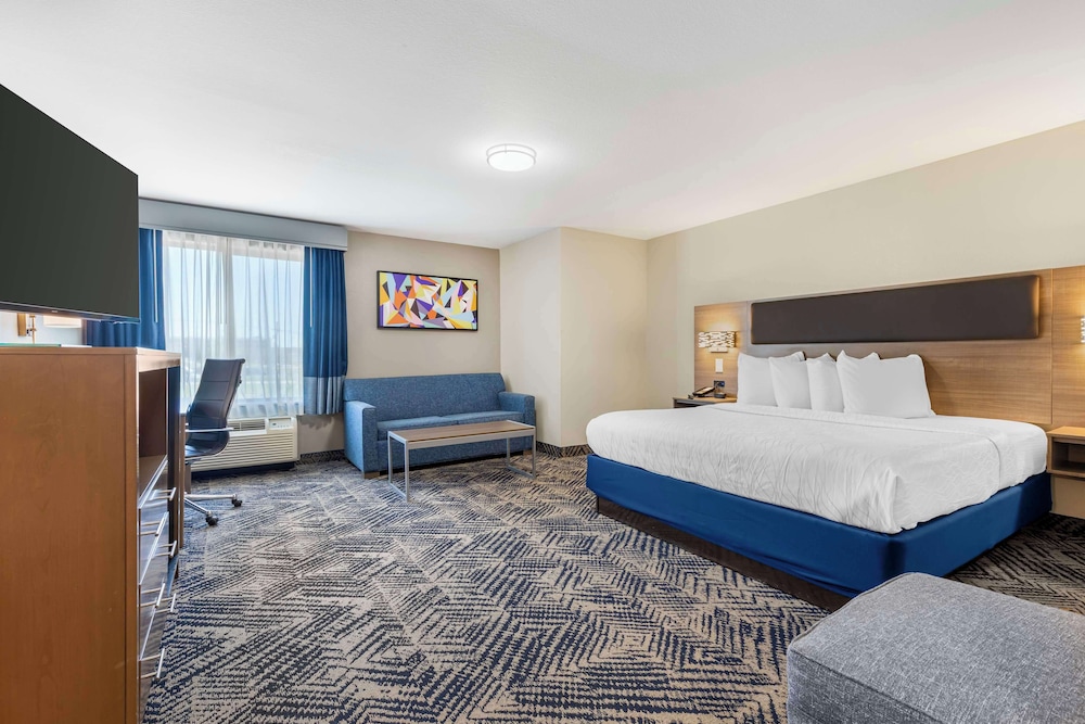 Suite, King Bed