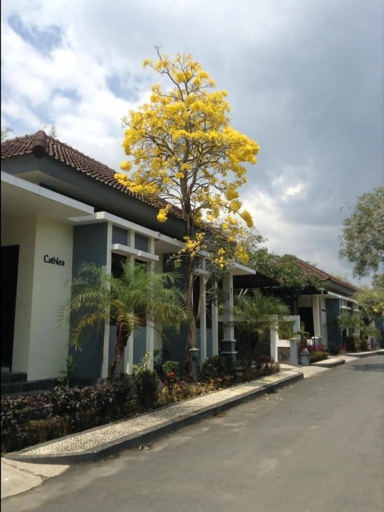 Luxio Hotel Sorong 3/26