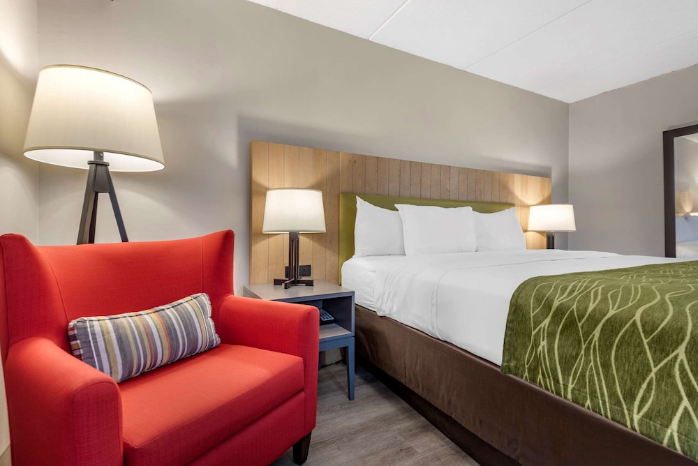 Comfort Inn & Suites Liverpool - Syracuse North 18/41