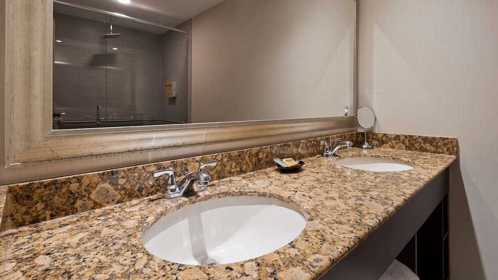 Best Western Plus Ambassador Suites Venice 15/40