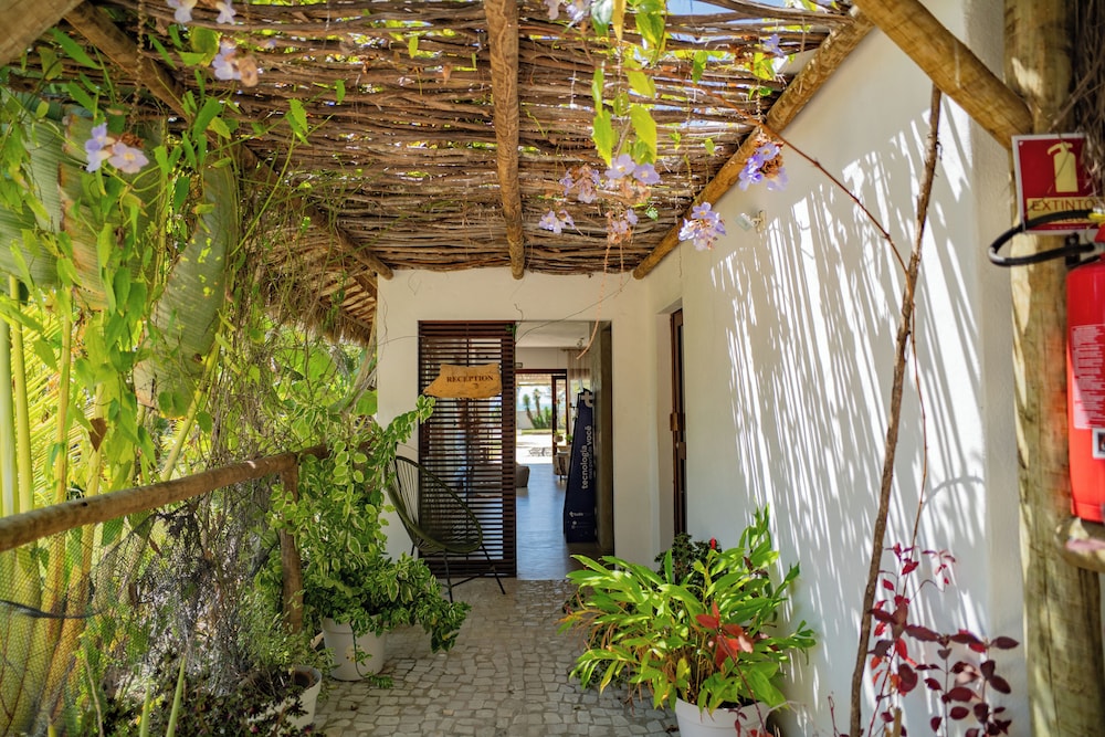 Zebra Boutique Hotel 1/50