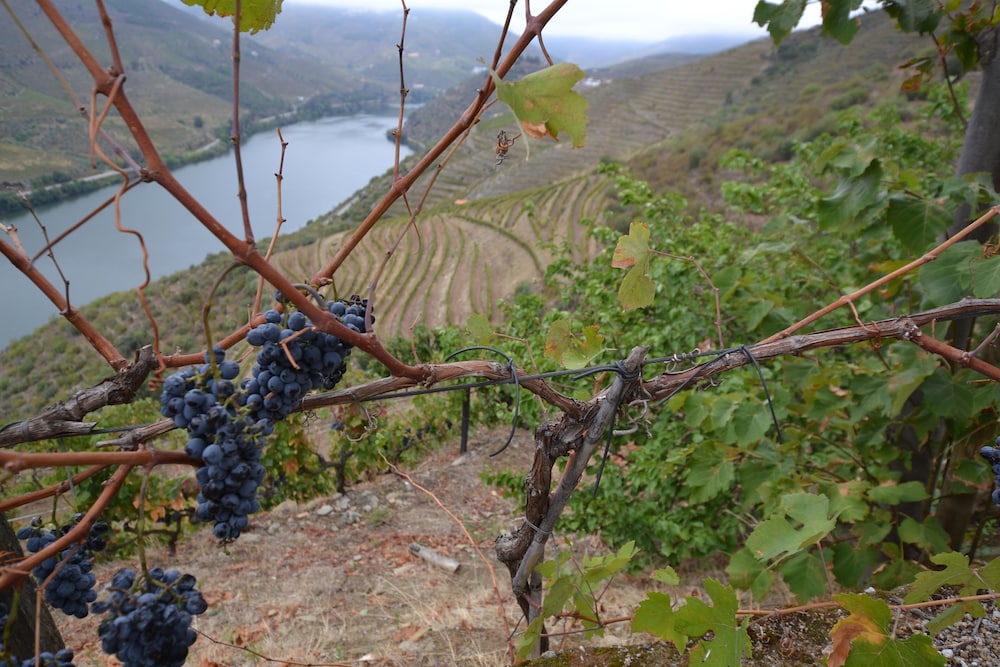 QUINTA DA VEIGA 40/48