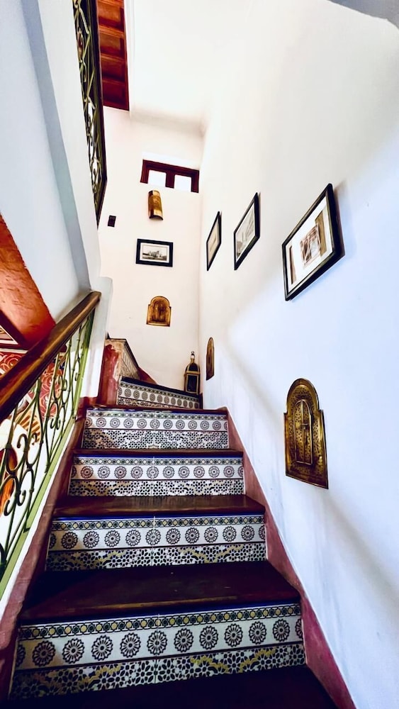 Riad Alida 1/50