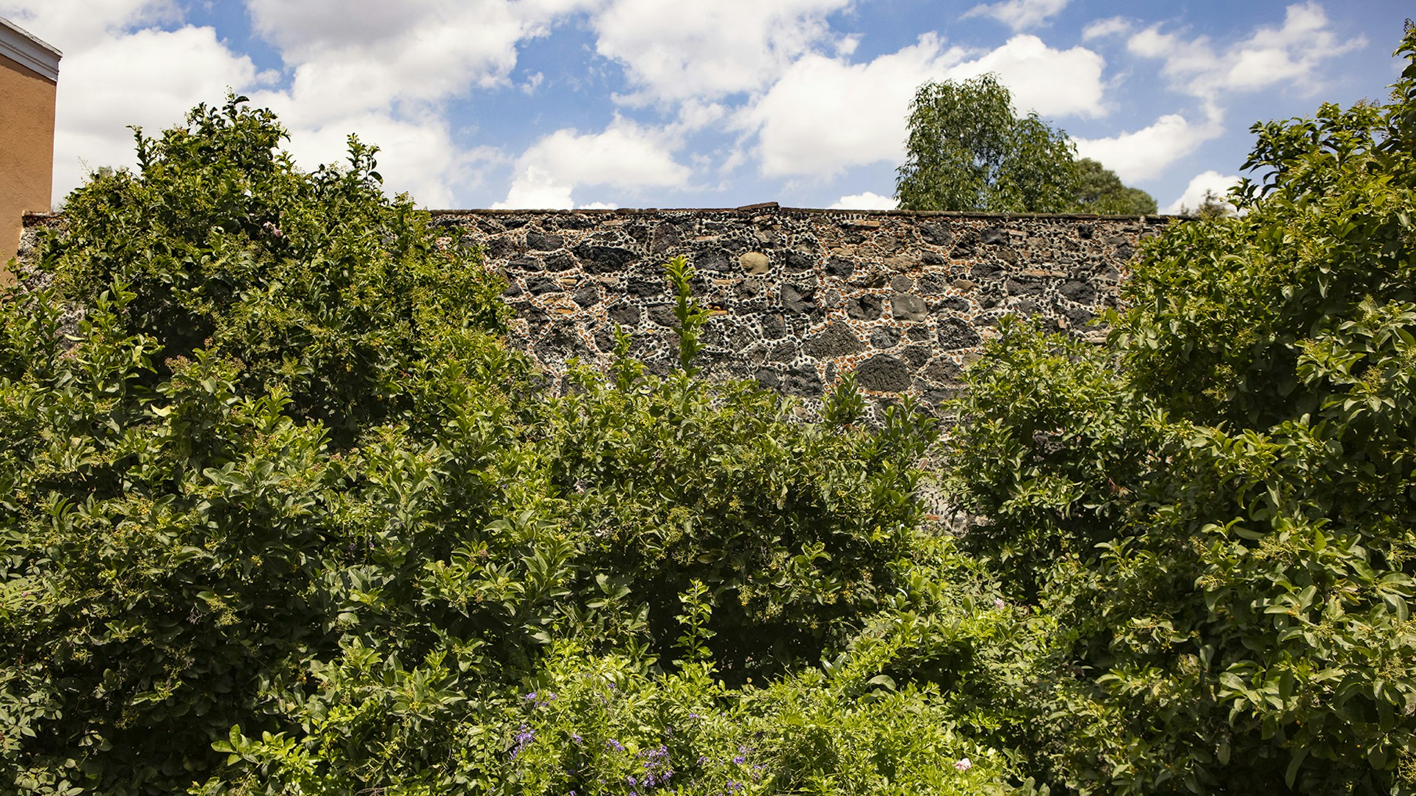 Hacienda Pena Pobre 64/68