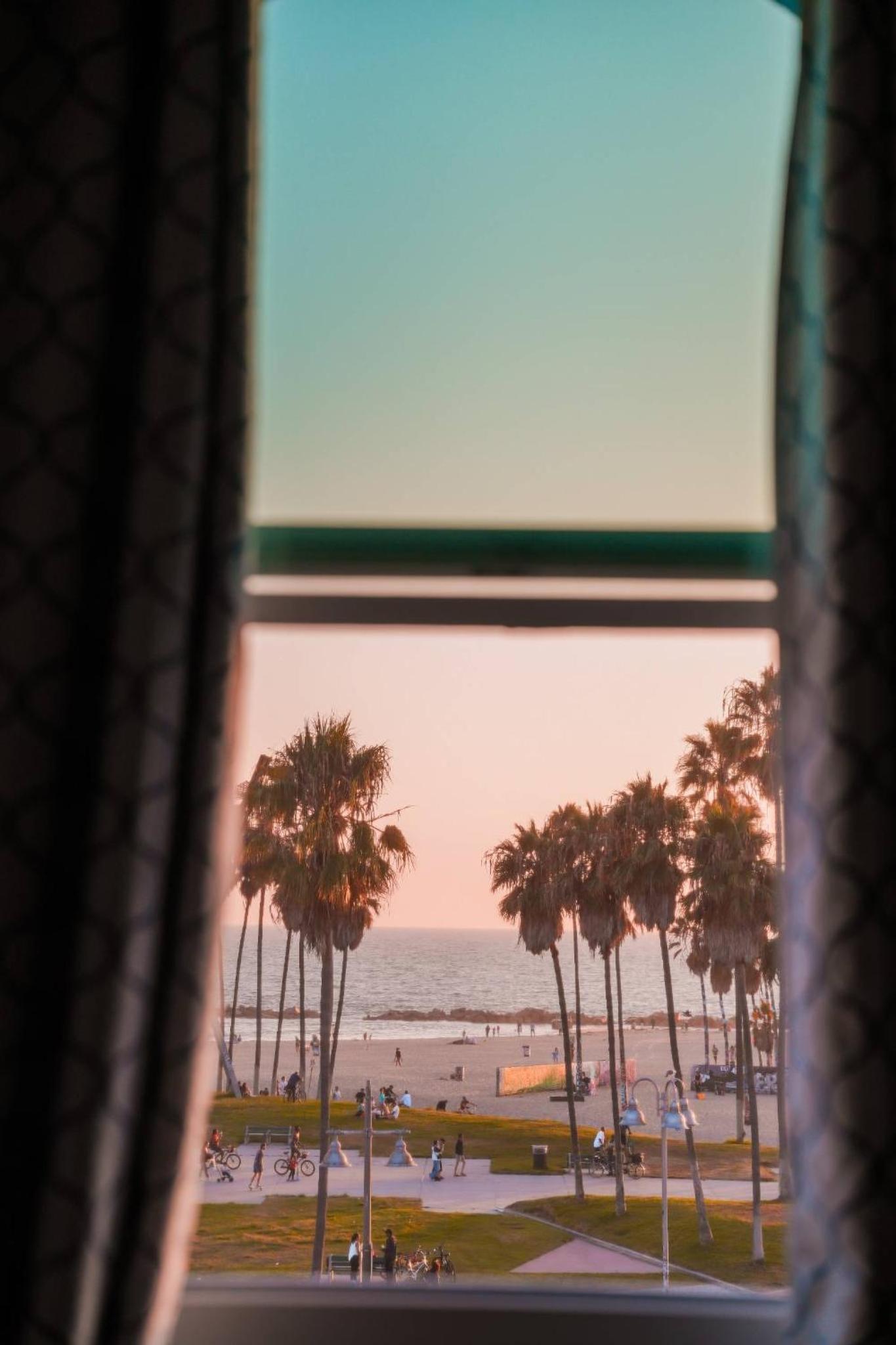 Samesun Venice Beach 42/50
