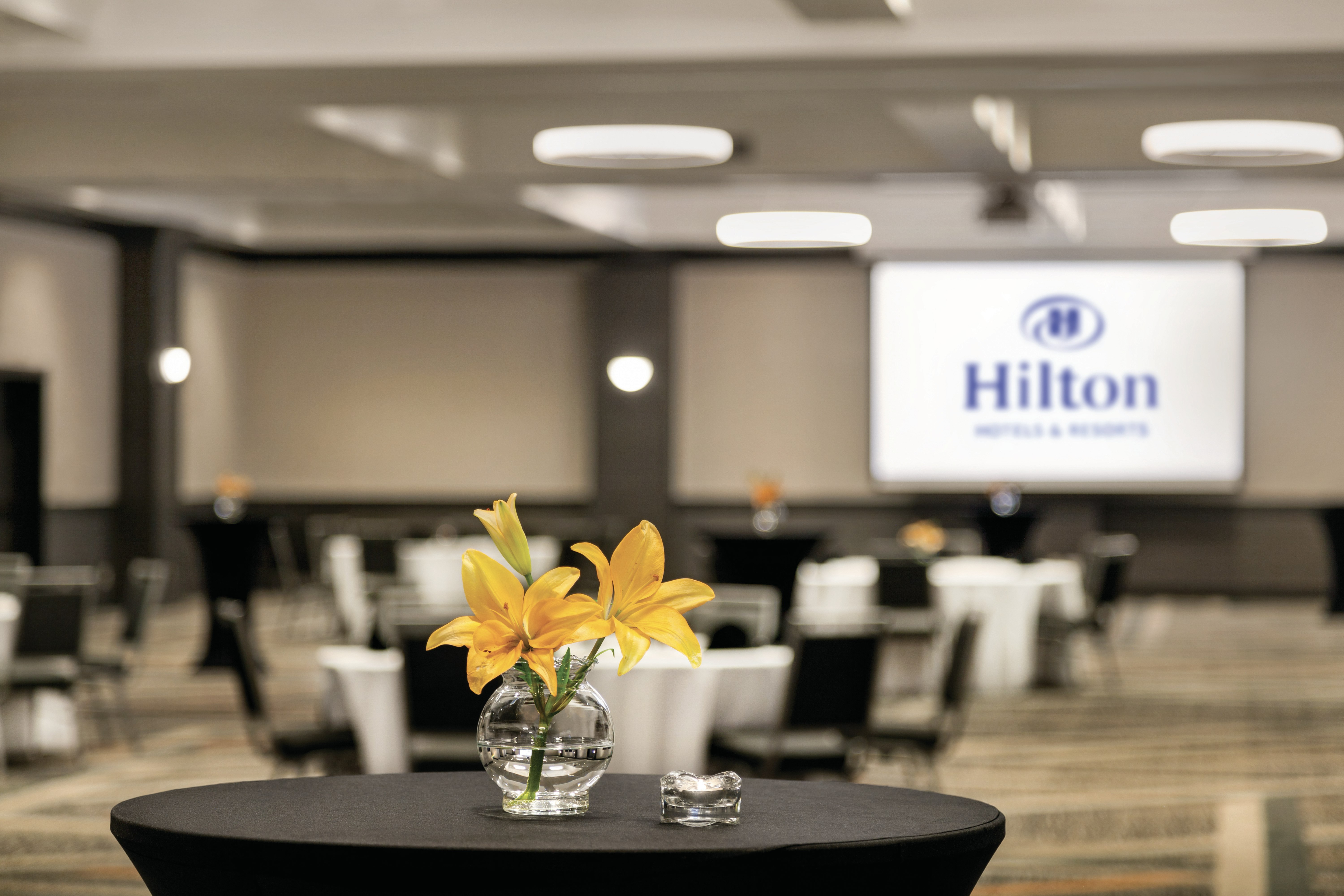 Hilton Knoxville Airport 71/81