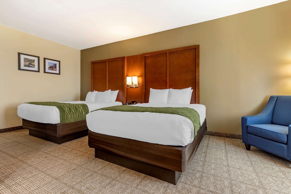 Comfort Inn & Suites Orangeburg 7/36