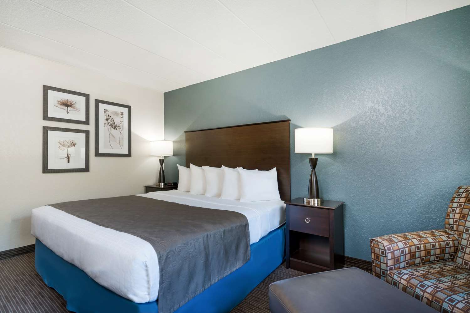 Baymont By Wyndham Owatonna 16/59