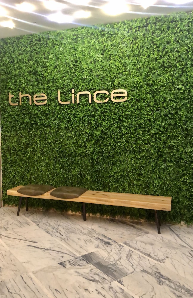 The Lince Azores 42/45