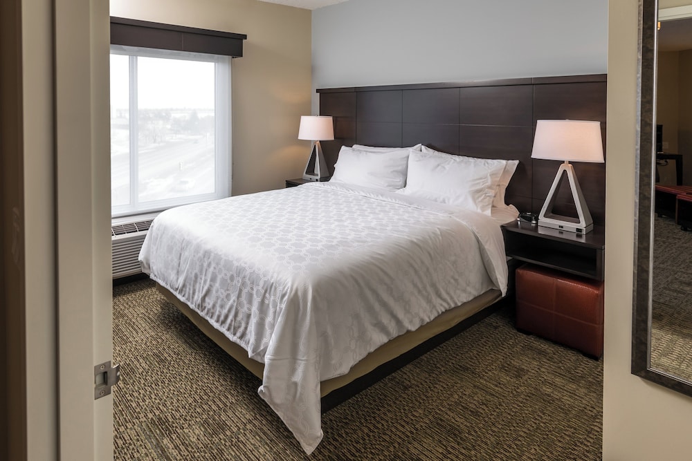 1 Bedroom, Suite, Single Bed, Living and Dining Areas, Kitchen