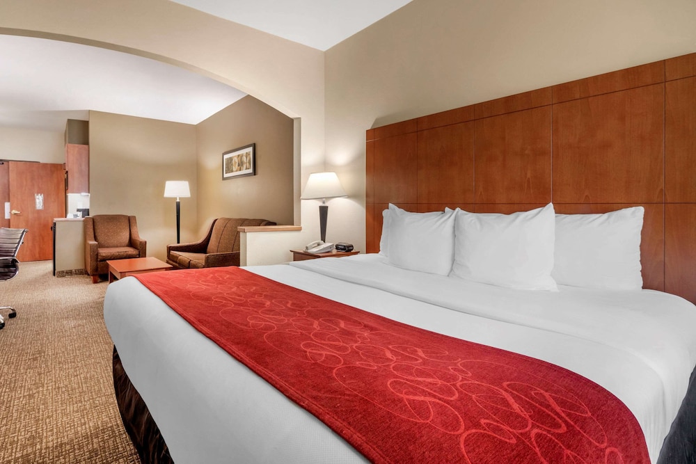 Comfort Suites North Dallas 19/31