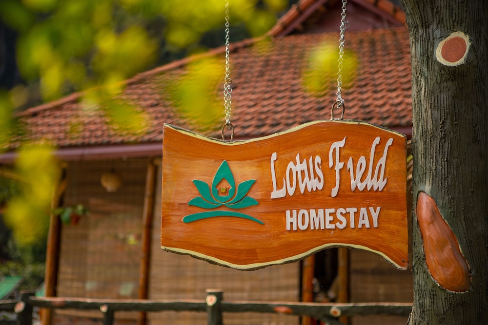 Lotus Field Homestay 17/50