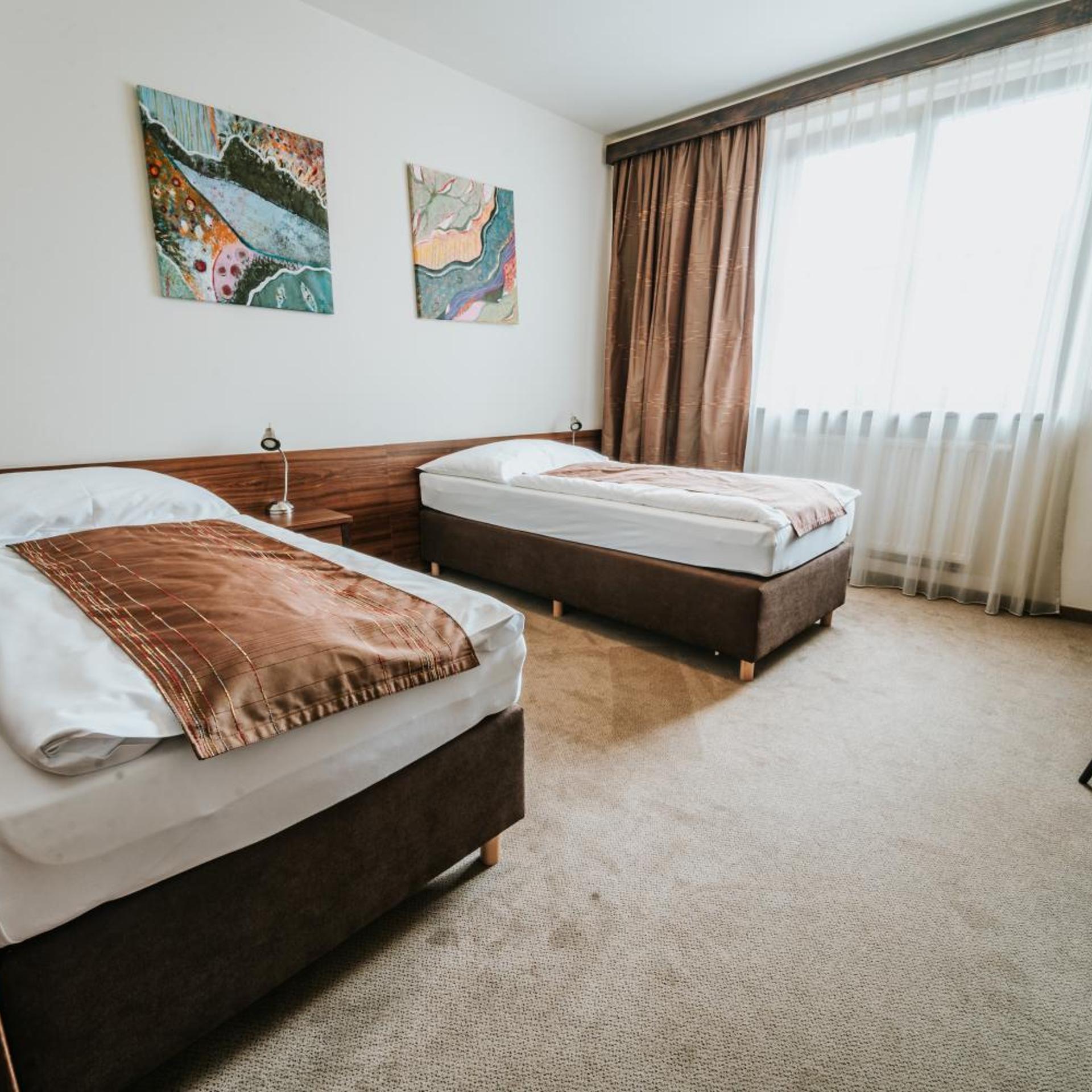 1 Bedroom, Suite, Balcony 2/10