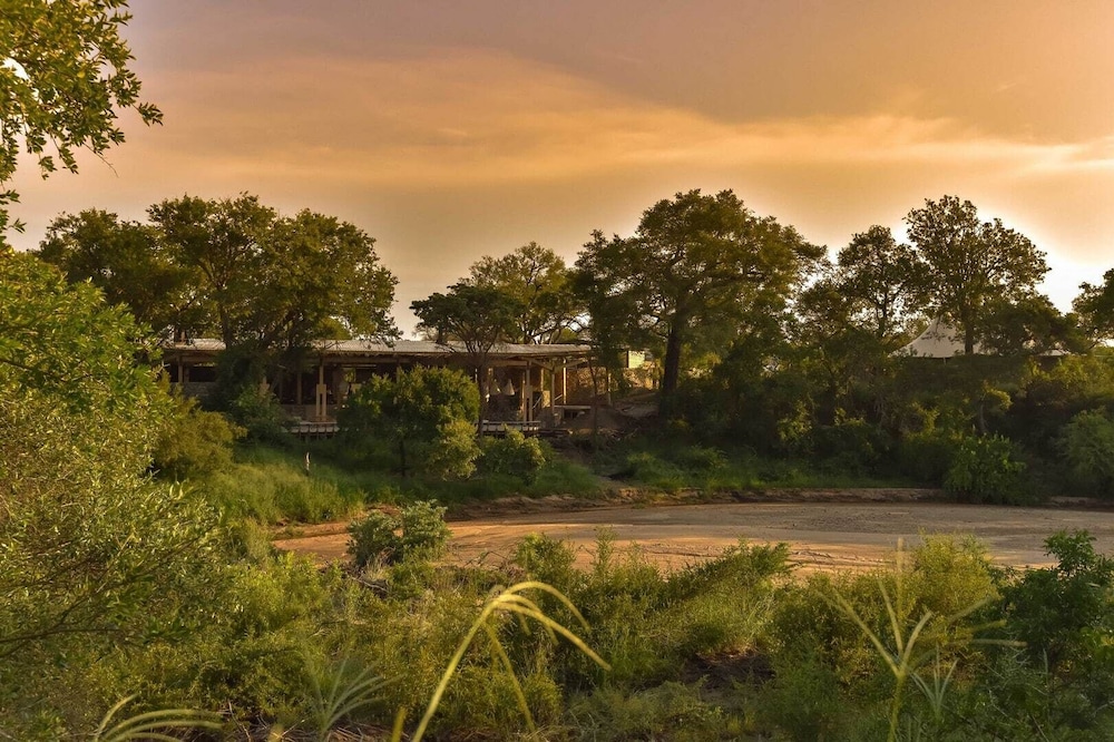 Thornybush Saseka Tented Camp 46/50