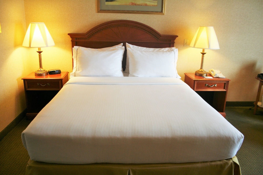 Holiday Inn Express Hotel and Suites Drums-Hazleton (I-80) 14/35