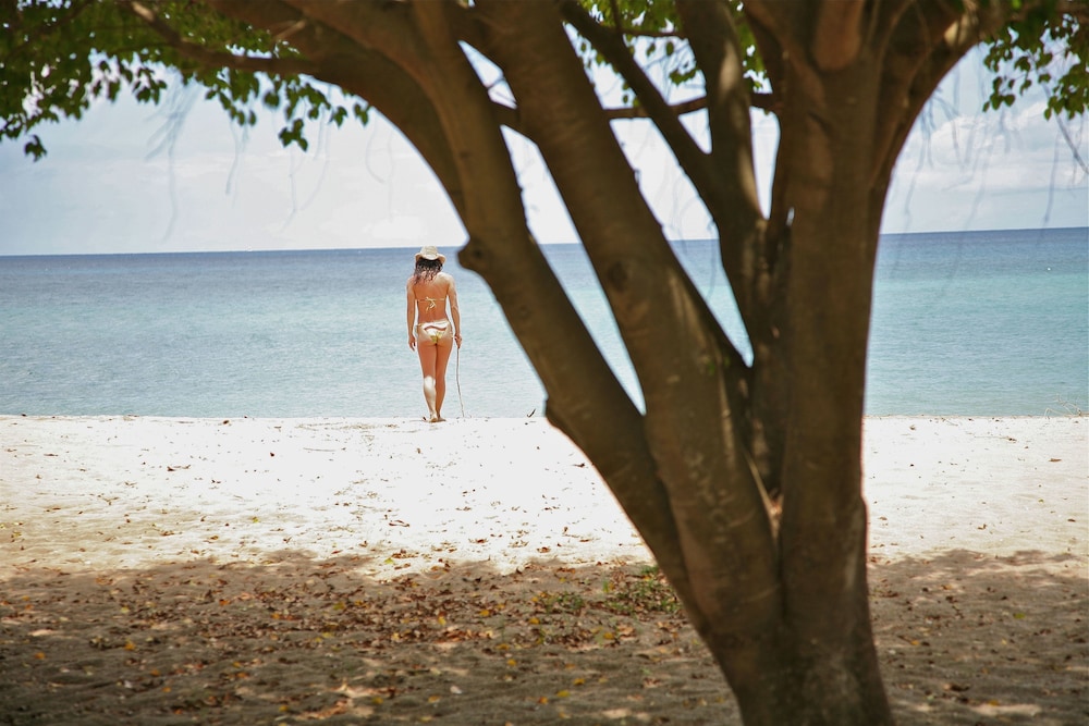 Montpelier Plantation & Beach 43/50