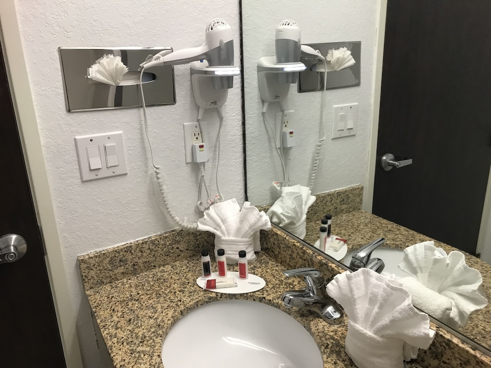 Microtel Inn & Suites by Wyndham Jacksonville Airport 32/40