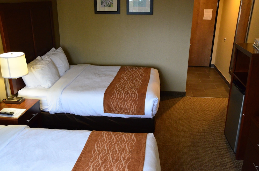 Comfort Inn & Suites Beaverton - Portland West 19/41