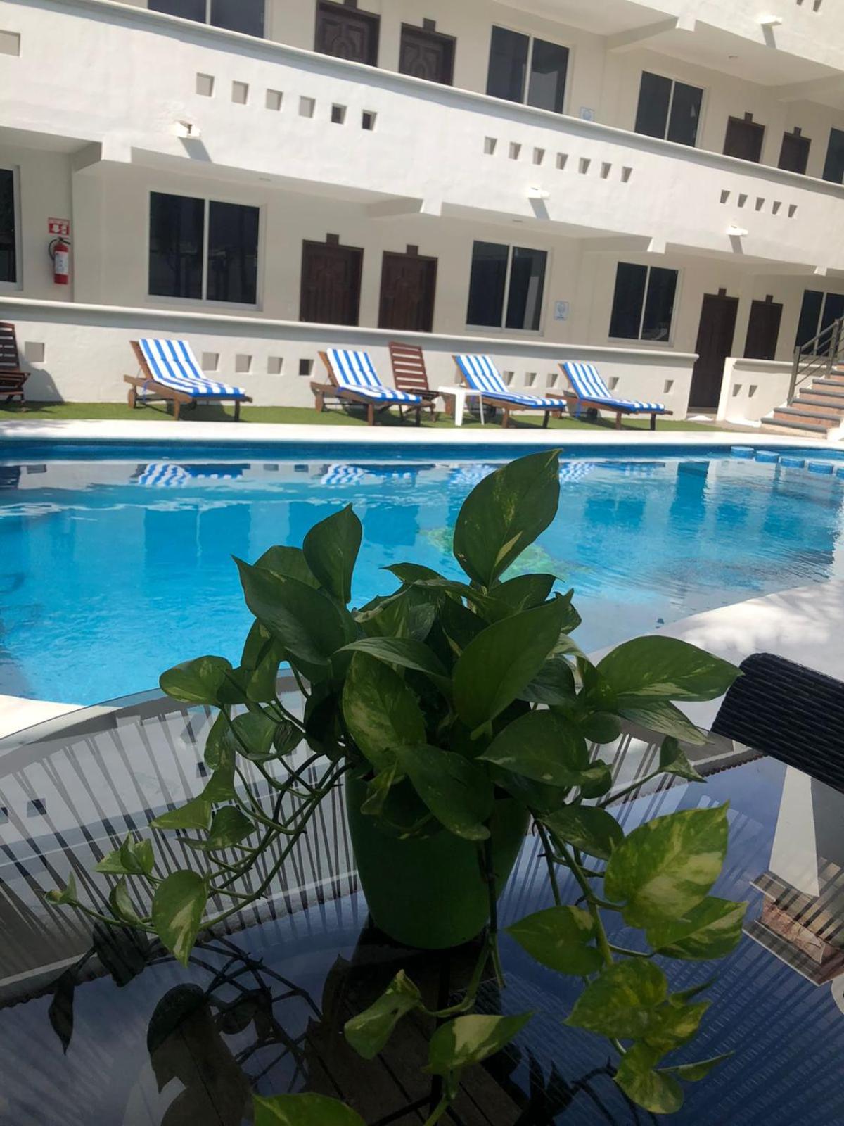 Hotel Balxiba, Centro Playa del Carmen 4/45