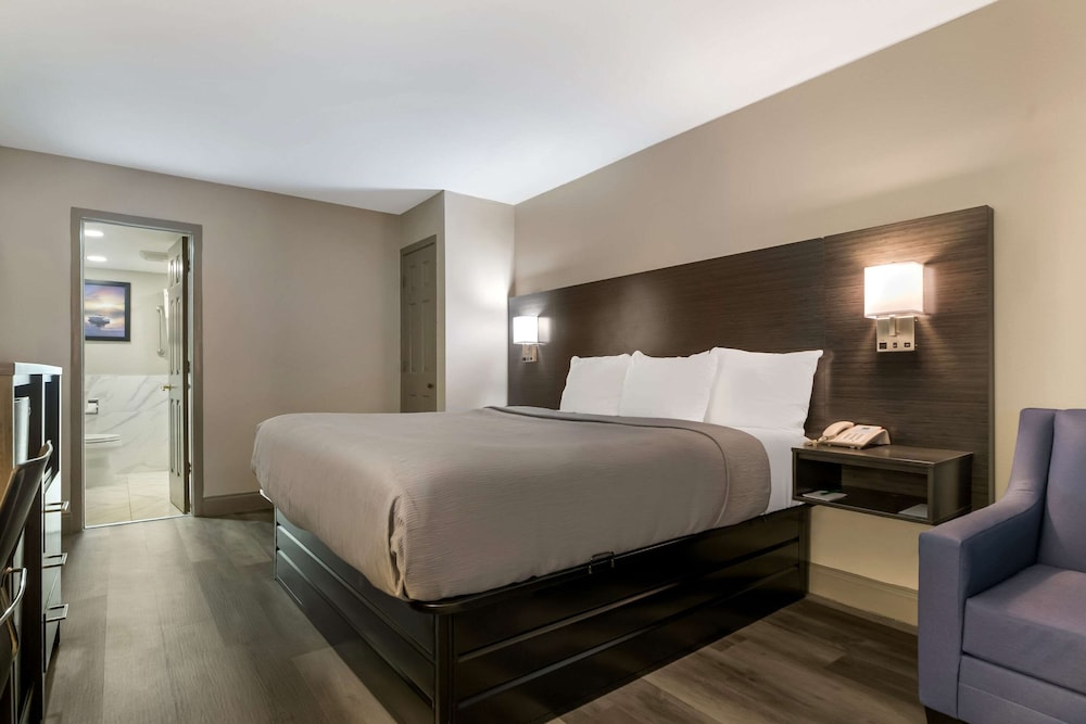Standard, Queen Bed