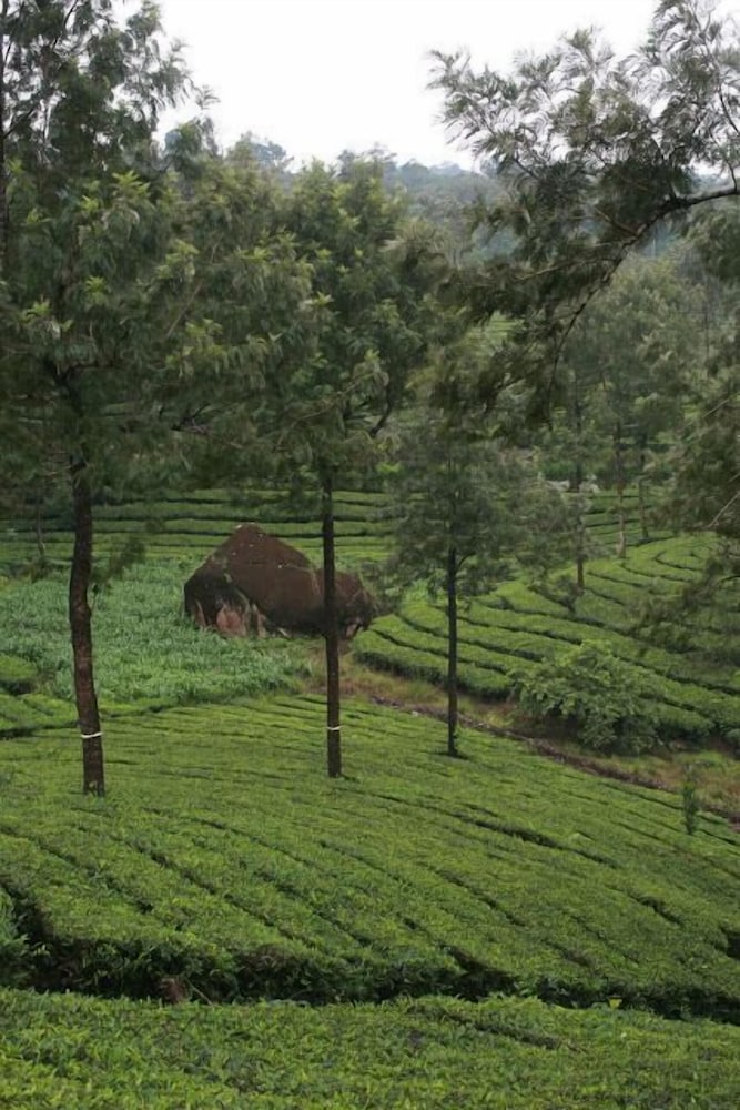 Wild Elephant Eco Friendly Resort 9/32