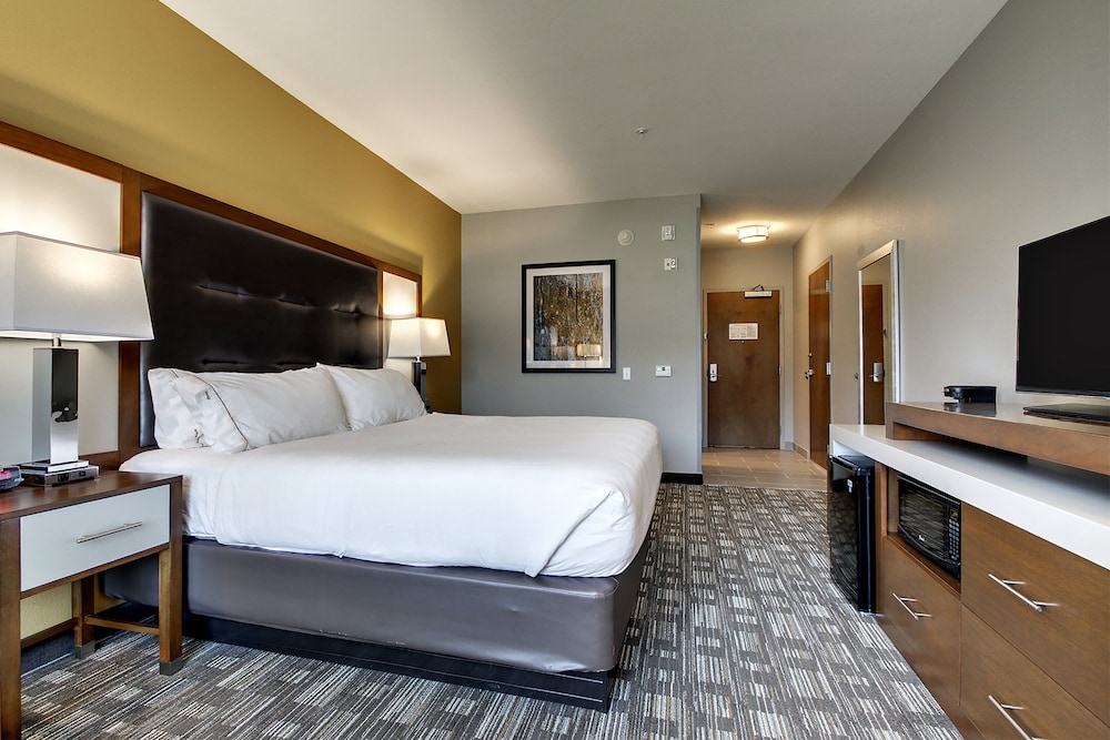 Holiday Inn Express Hotel And Suites Albany 13/67