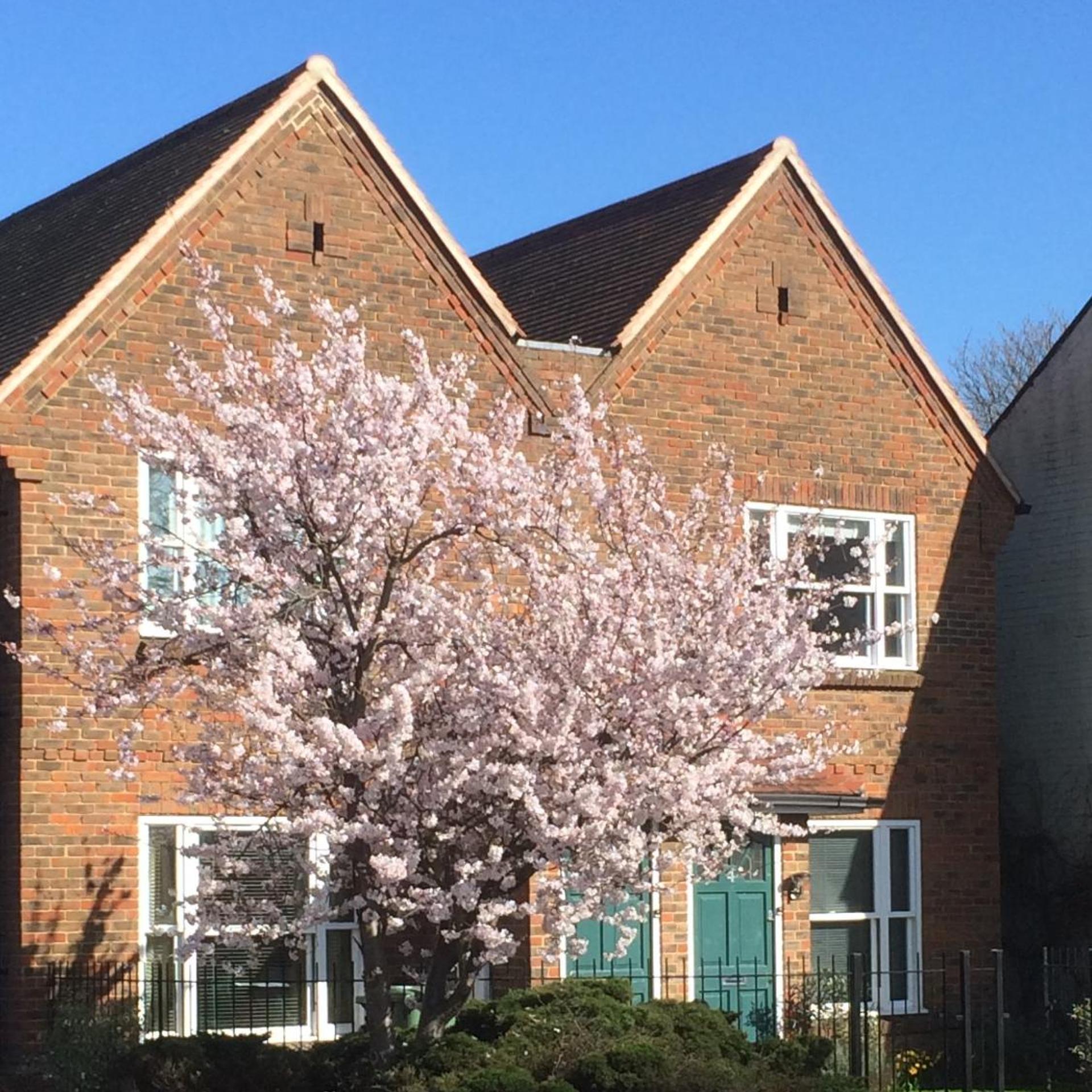 3 Summertown Court 2/17