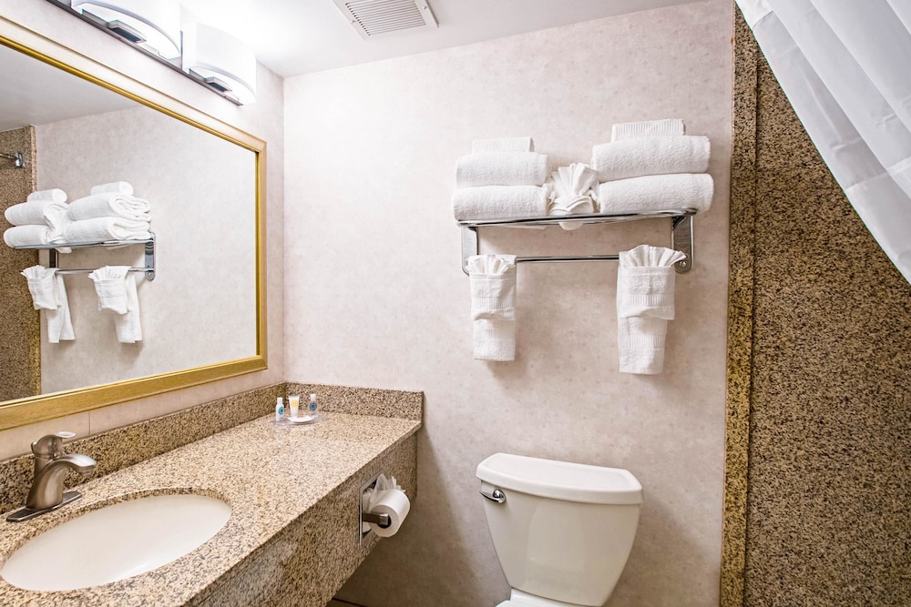 Comfort Inn Falls Church - Tysons Corner 10/35