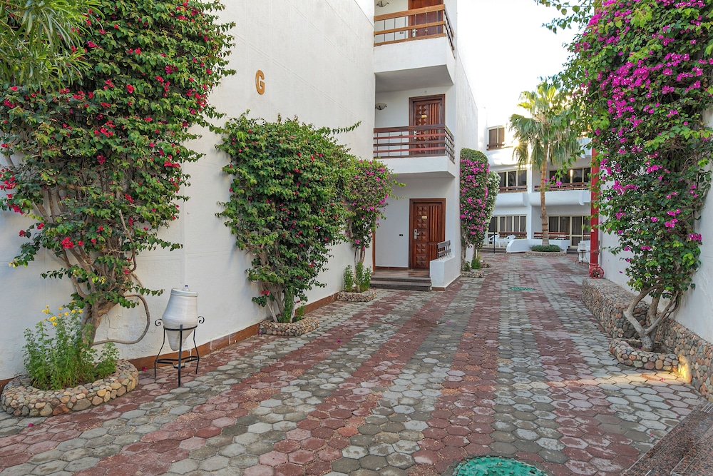 Marlin Inn Azur 43/50