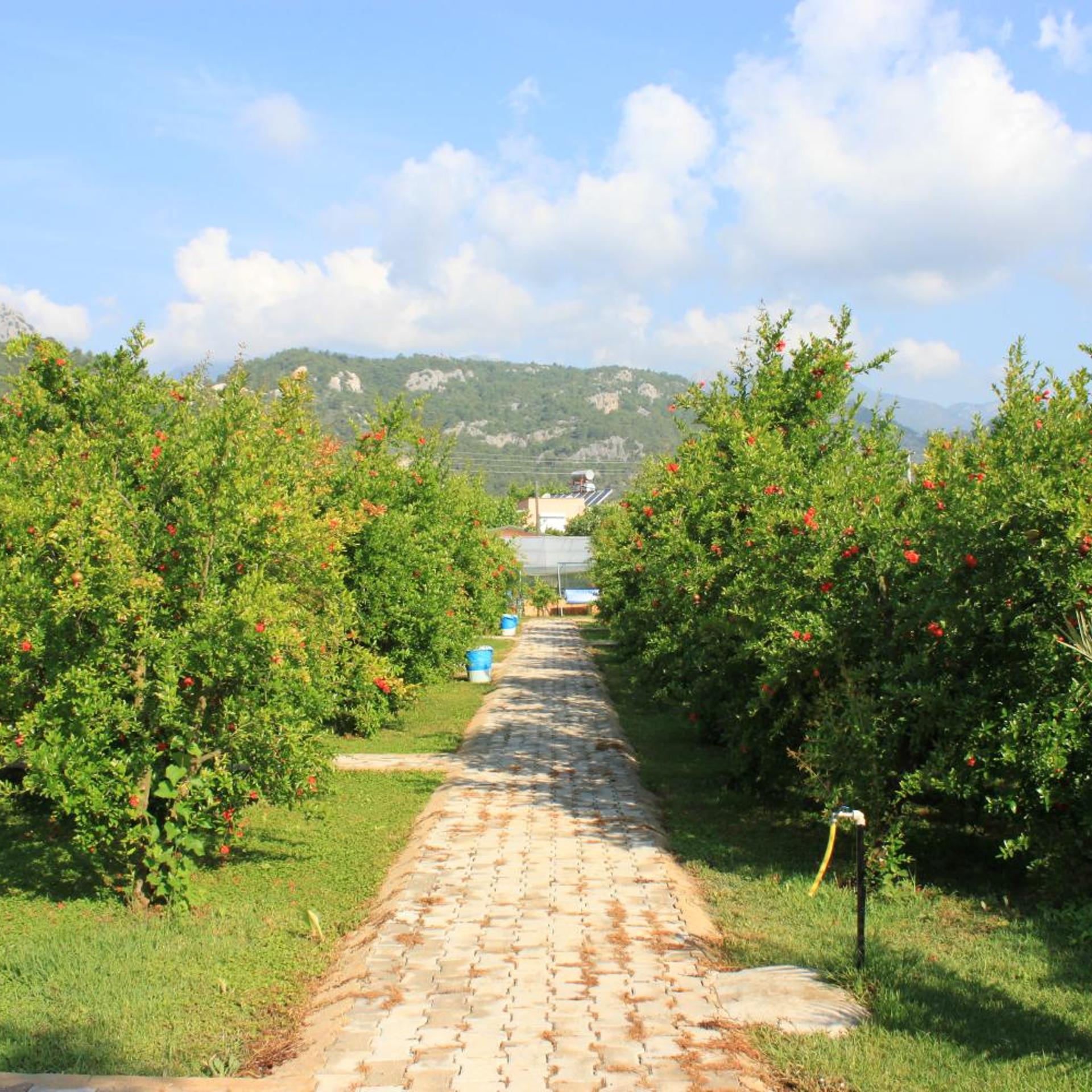 Yildiz Pension Bungalows 46/50