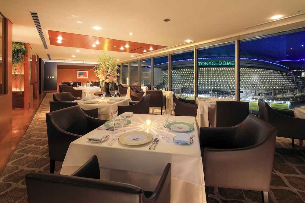 Tokyo Dome Hotel 43/53