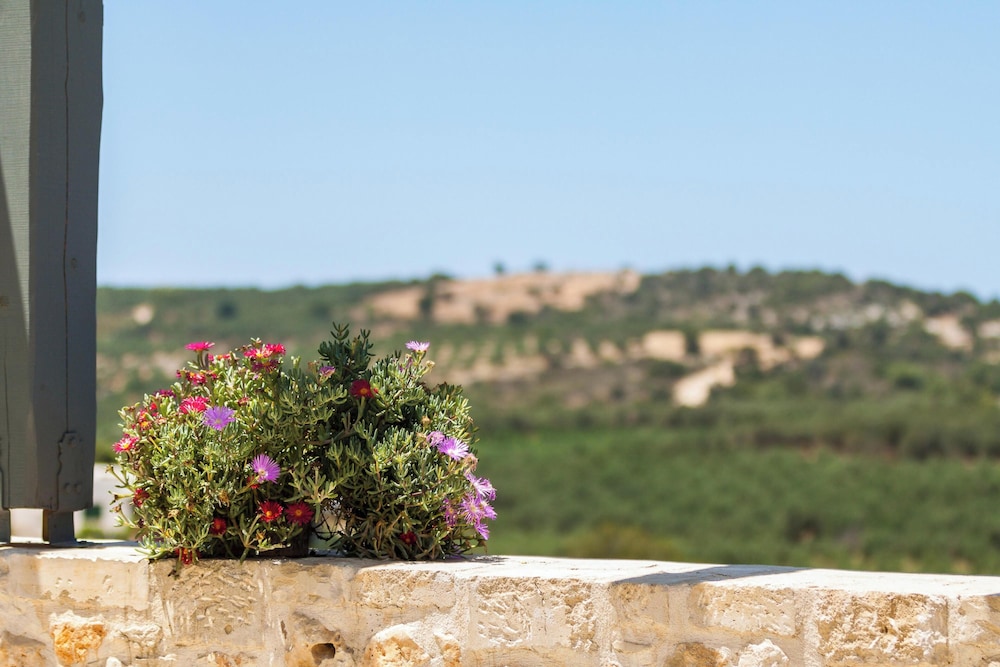 Erondas Cretan Country Villas 43/50