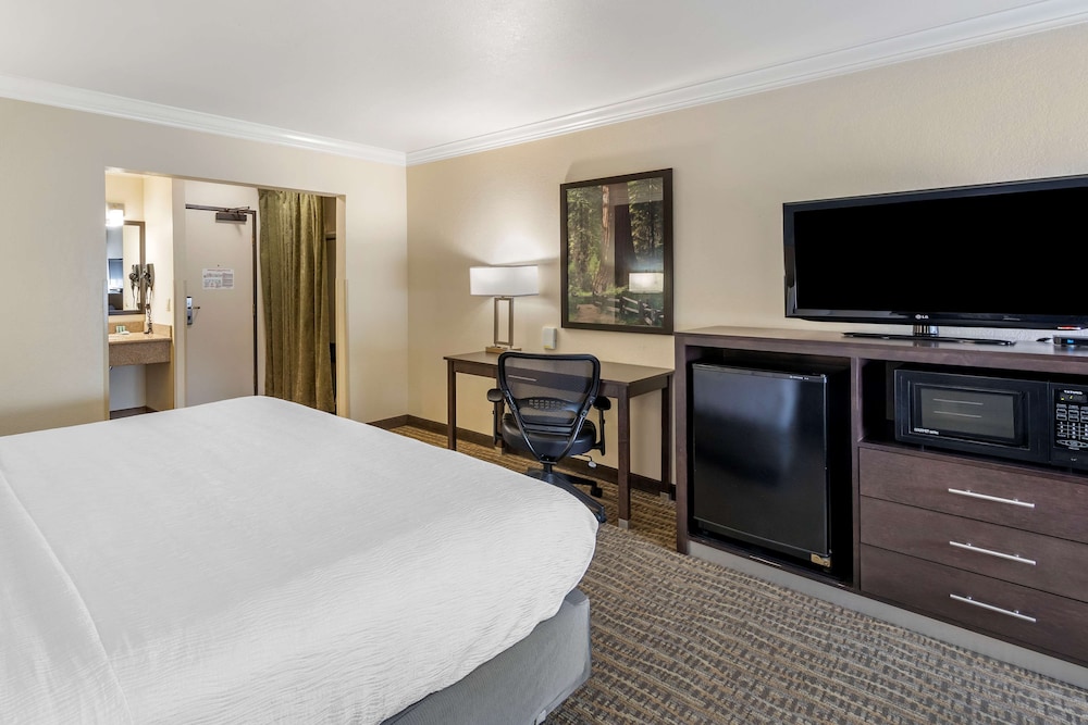 Standard, King Bed, Best Western Town & Country Lodge 2/10