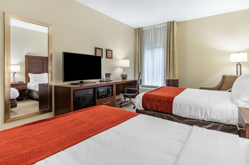 Comfort Inn & Suites Clemson - University Area 15/49
