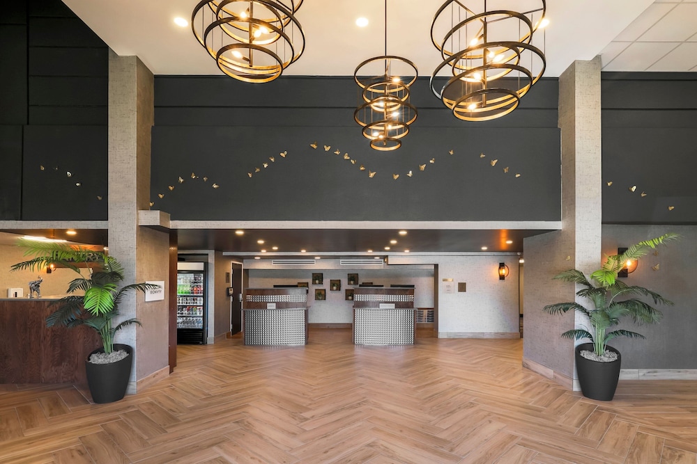 Four Points by Sheraton Amarillo Central 写真3