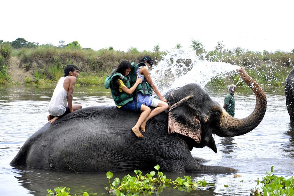 Chitwan Paradise Hotel 34/37
